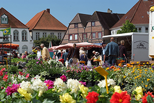 Meldorf – Stadt der Nachhaltigkeit Das Thema "Nachhaltigkeit ist seit Jahren präsent in Meldorf (Foto: Stadt Meldorf)